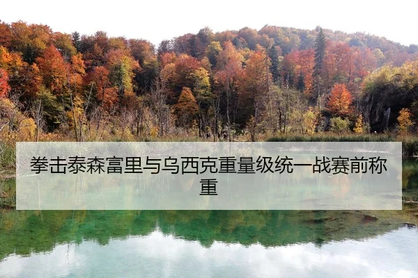 拳击泰森富里与乌西克重量级统一战赛前称重